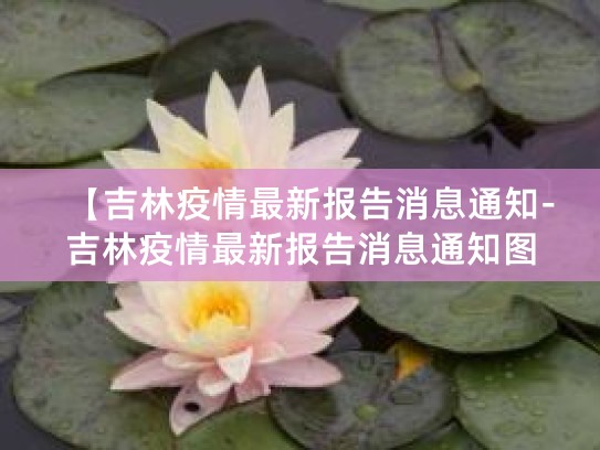 【关于吉林省最新疫情通报的新闻通报-关于吉林省最新疫情通报的新闻通报图片】