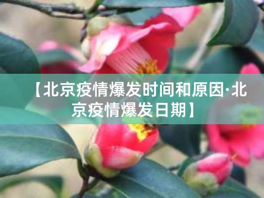 北京疫情首次发生时间及新发地疫情爆发时间介绍