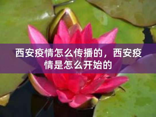 西安郑州宁波三地疫情传播链，与家庭聚集聚餐密切相关